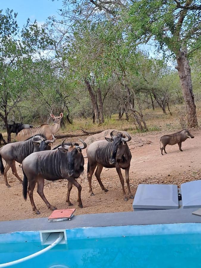 Nanisto Bush Lodge Marloth Park Exterior photo