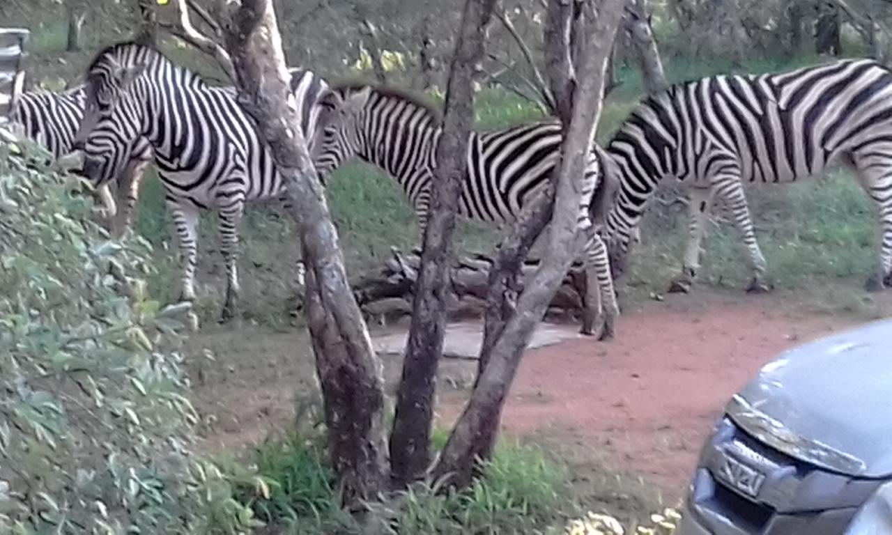 Nanisto Bush Lodge Marloth Park Exterior photo